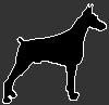 Bombino's Avatar